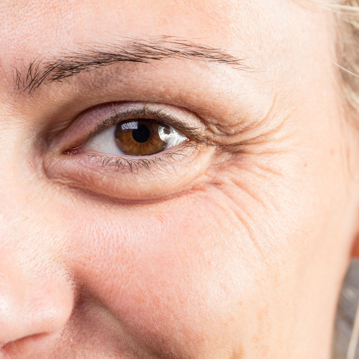 rides d'expression bordeaux